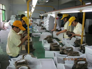 檢品工廠一站式服務(wù) 包裝、配送與家政支持一體解決方案